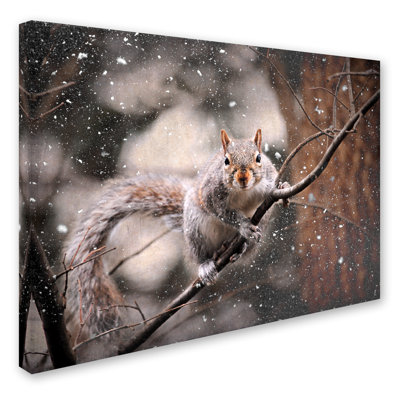 Vidur 'Snow Day Squirrel' Photographic Print on Wrapped Canvas