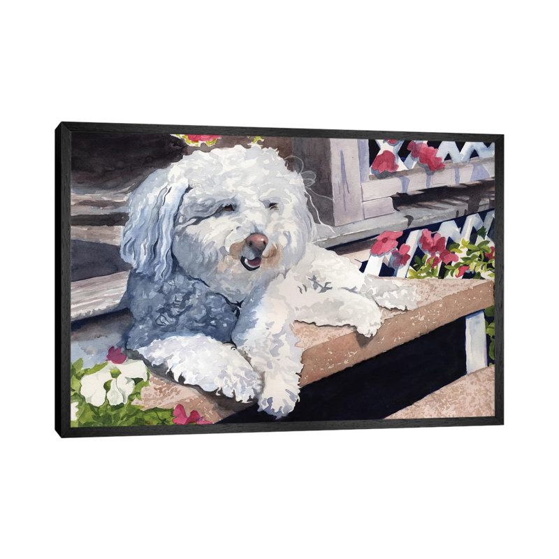 Bichon Frise Portrait by Rachel Parker - Painting on Canvas, 66.04 cm H x 45.72 cm W, Black Framed