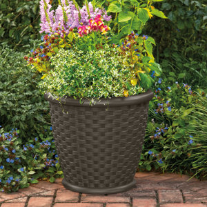 2 - Piece Resin Pot Planter Set