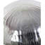 Sculpture Wingil-918006567