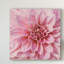 « wall fleur vii », photographie sur toile tendue-132379218