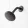 Pressure Balanced Dual Function Shower Faucet