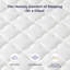Puffy Collection Resspry Mattress-115243979