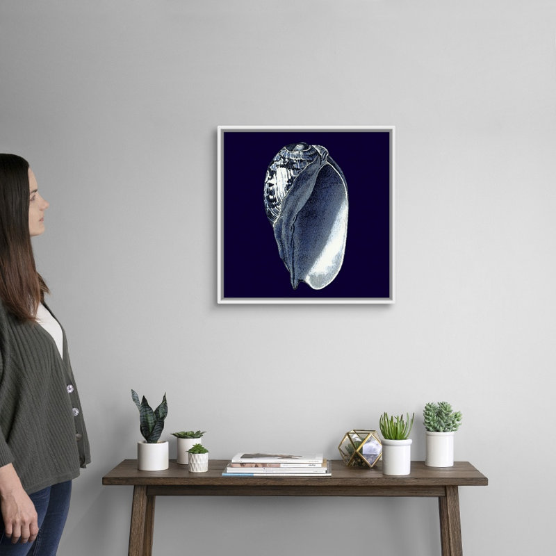 « Indigo shells V » par vision studio-impression, Cadre blanc, H 26 po x l 26 po x 1,75 po