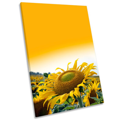 Sunflower Sunset Flower - Wrapped Canvas Print