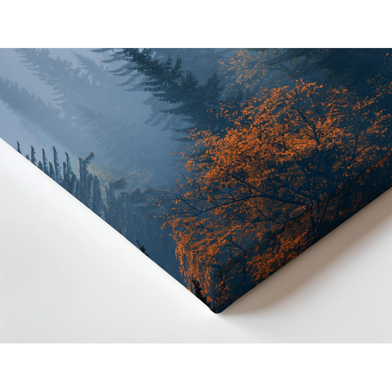 Toile, scène sereine de forêt enveloppée de brume, présentant une variété d'art mural de feuillus et d'arbres à feuilles caduques