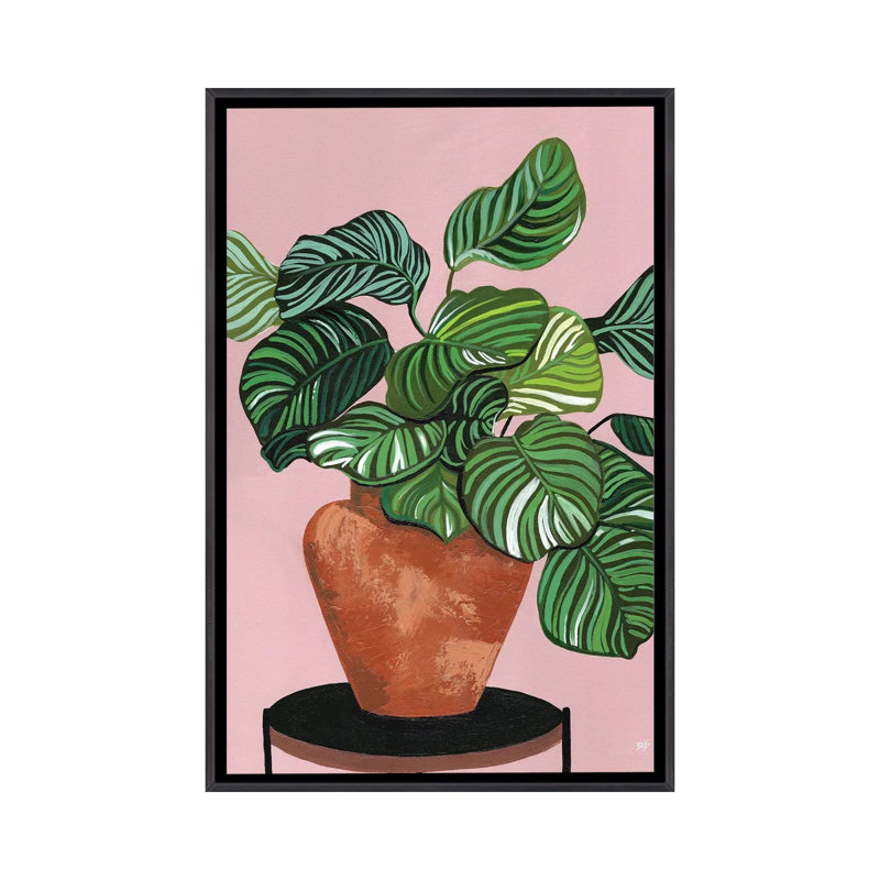 Impression d’art graphique Calatheas par Bria Nicole, H 26 po x l 18 po x 1,5 po, Toile avec cadre noir patiné, Pas de tapis