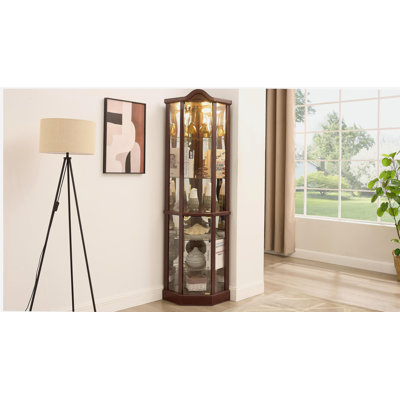 Vitrine d'angle vitrée avec vitrine de coin, vitrine avec barre lumineuse, armoire à vin avec tablettes réglables en verre, décoration sculptée cerisier Daark, lumière (incluse)