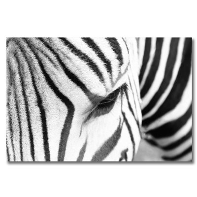 Eye Of The Zebra Print by DecorumBY