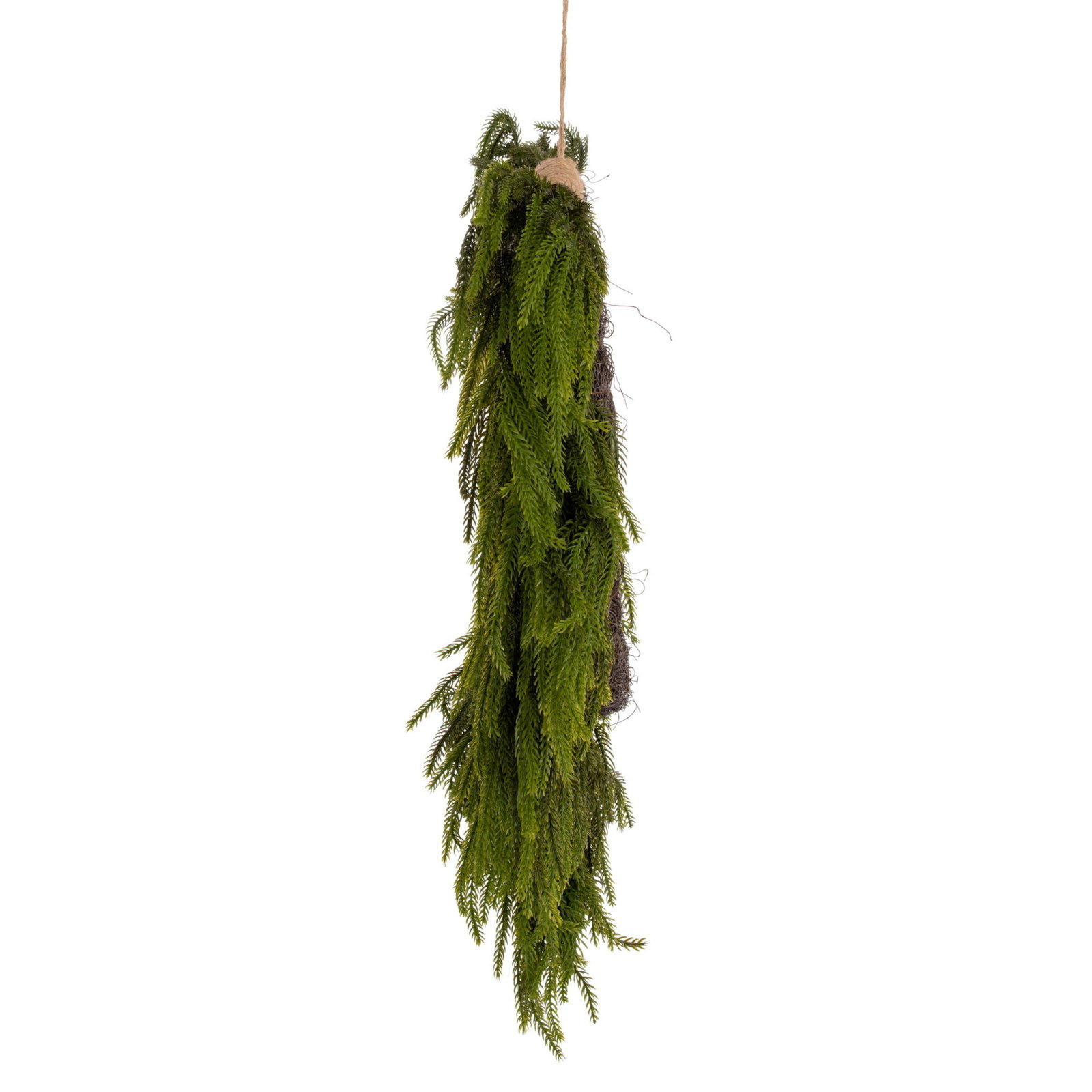  30" Green Norfolk Pine Wreath., 24" x 24" 