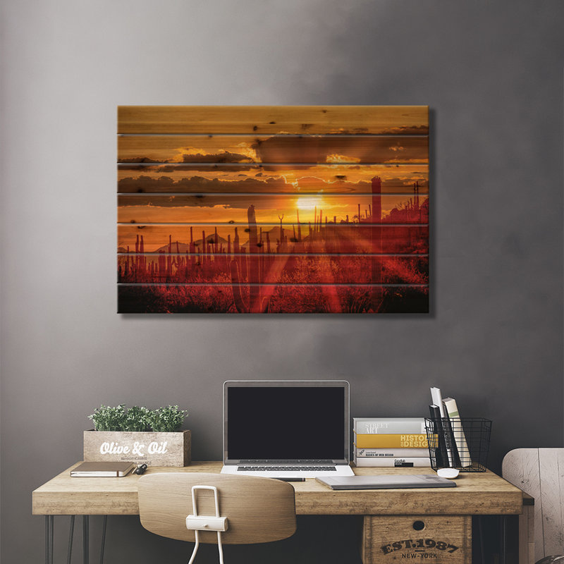États-Unis, Arizona, Tucson, parc national Saguaro I, H 18 po x l 26 po x P 1,5 po