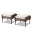 Ensemble de 2 repose-pieds d'extérieur en rotin brun avec coussin beige pour cour arrière ou terrasse