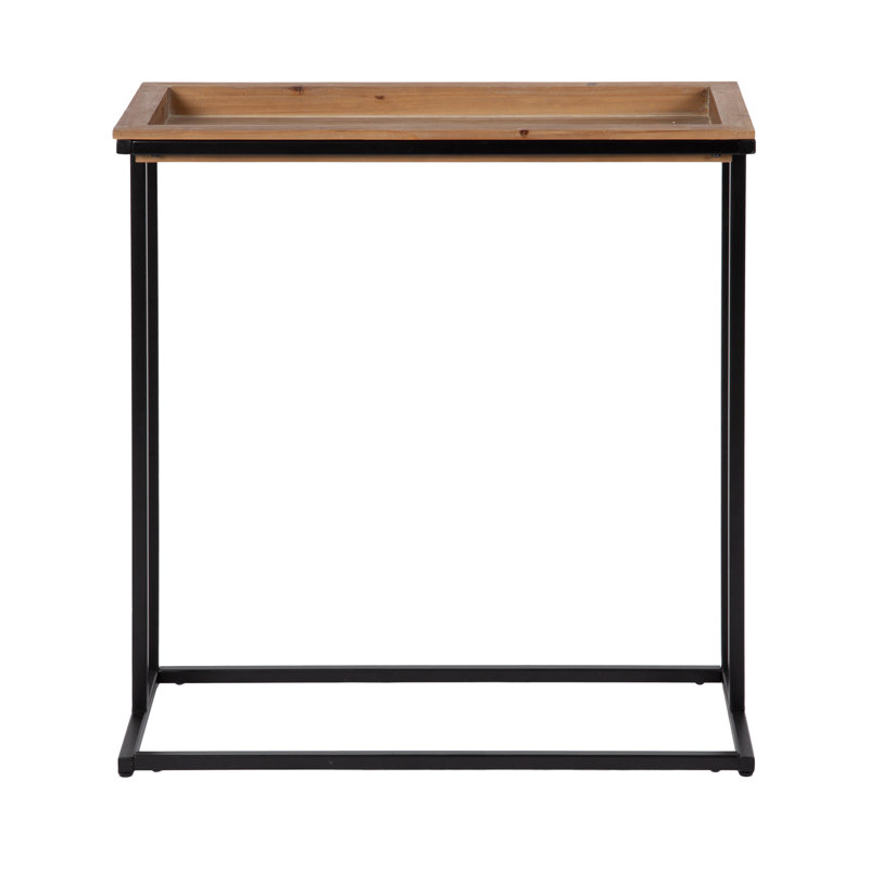Fedorina Metal Console Table with Removable Tray