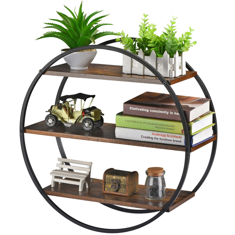 Brayville 3 Piece Circle Floating Shelf with Adjustable Shelves