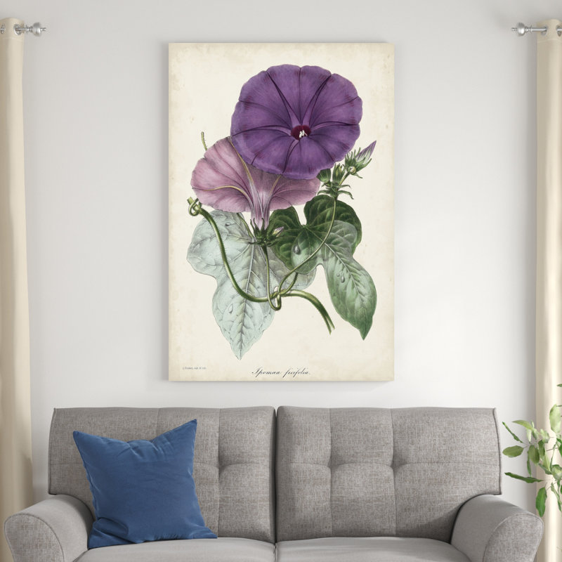 Plum Morning Glory, H 48 po x l 32 po x P 1,25 po