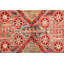 Aryana Wool Oriental Area Rug