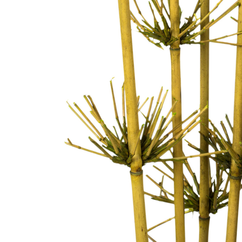 Faux Reed Plant