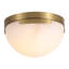 Eddie 1 - Light Flush Mount-692417530