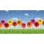 Frido Floral Area Rug-1763827226