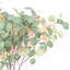 28 po. Fumée eucalyptus 28 po. Spring Summer