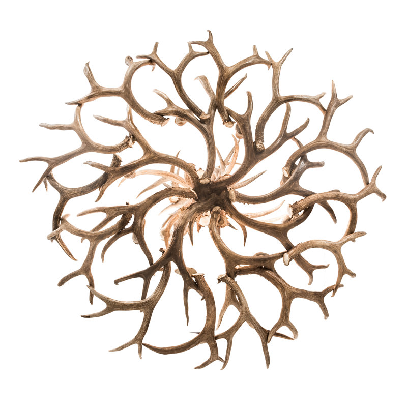 Rustic Lodge 12 - Light Chandelier