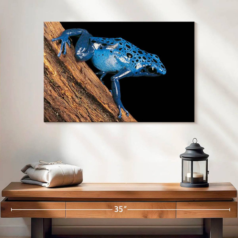 Crowle Poison Arrow Frog