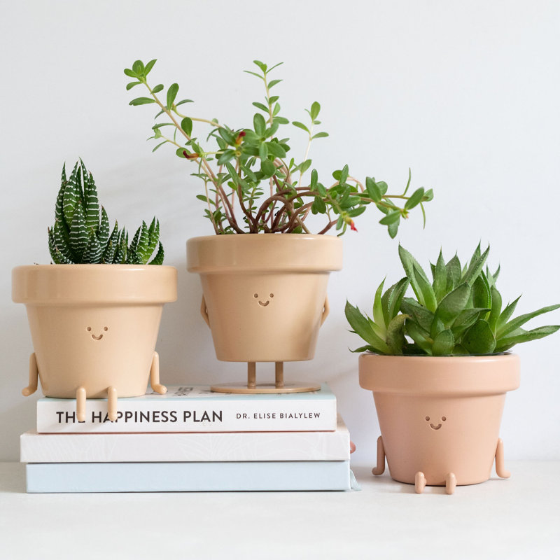 Cute Pots Pot Planter