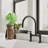 VIBRANTBATH Kitchen Faucet-102588345