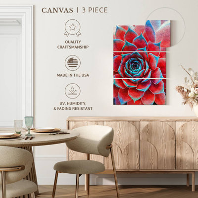 Harnek Crimson Succulents