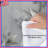 Silver Leaf Botanical Comforter-128700770