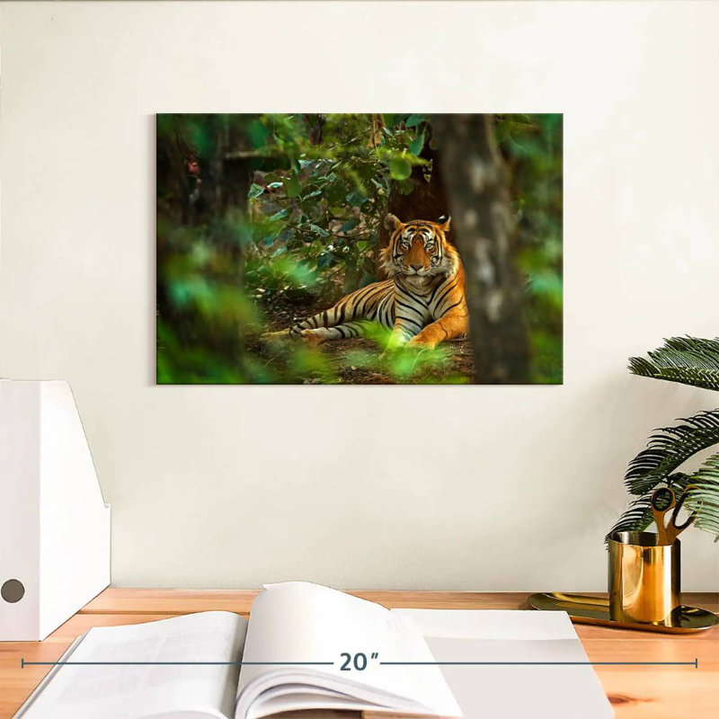 Brampt Indian Tiger, 8" H x 12" W