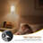 Virve Iron Plug-in Flush Mounted Sconce-1318057862