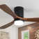 52" Nicola 3 - Blade LED Standard Ceiling Fan with Remote Control and  Light Kit Included
