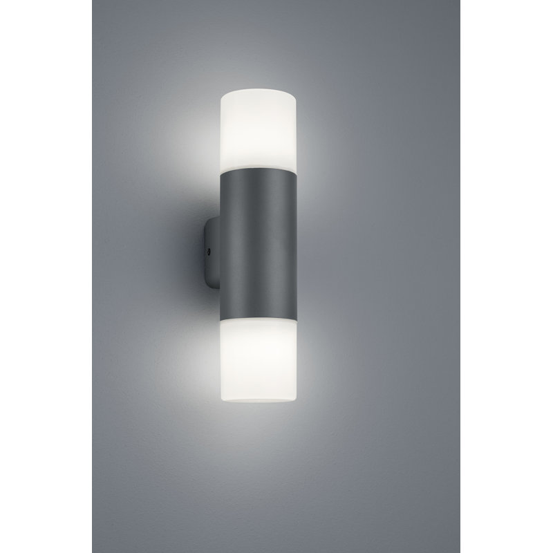 Olen Outdoor Sconce