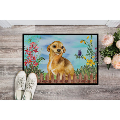 Non-Slip Outdoor Doormat