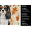 Serviette de cuisine tricolore Cavalier Spaniel-2083472106
