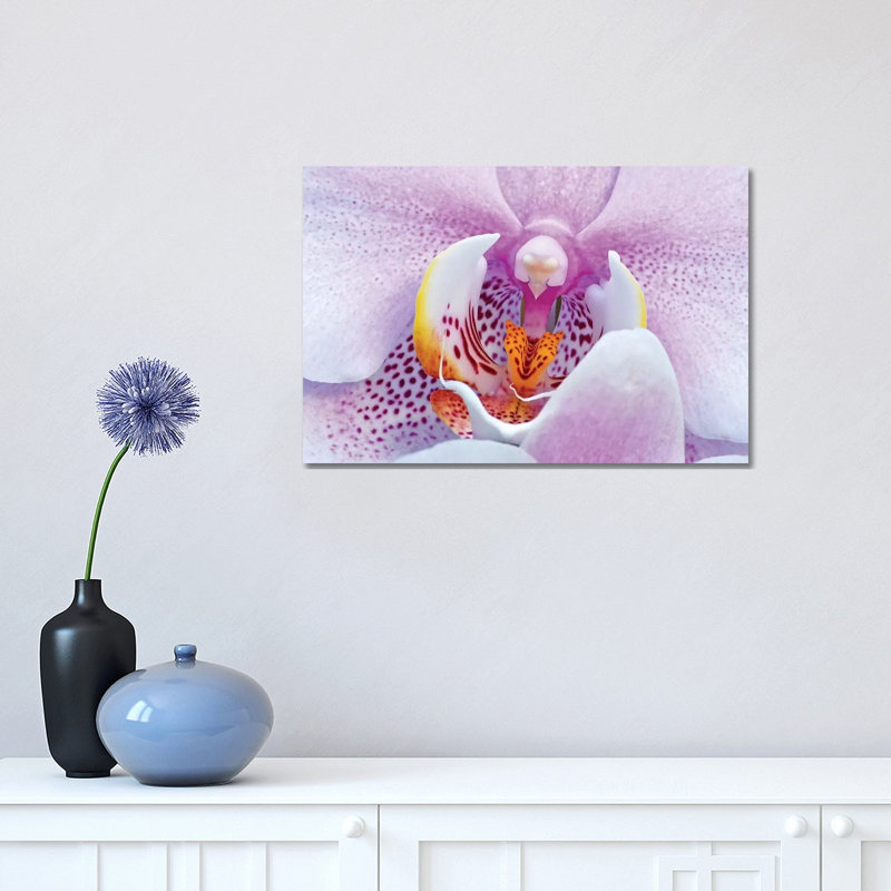 Orchid 1 Piece Wrapped Canvas Wall Art, 30.48cm H x 45.72cm W x 1.91cm D
