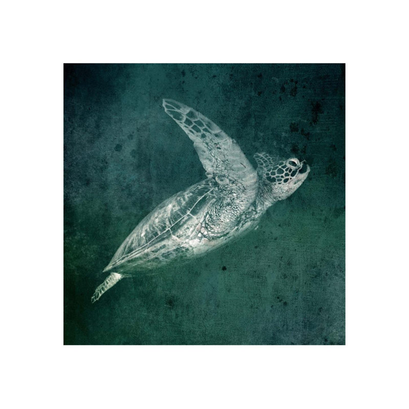 Collection Marine II par GI Lab - impression, Couche de verre, H 24 po x l 24 po x P 1,5 po