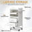 White Salon Trolley Cart With Wheels And 2 Drawers, 2 Compartments, 3 Metal Tool Holders-118041669