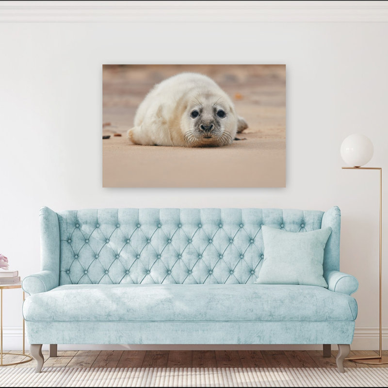 Adorable Seal Pup Contemporary Animal Beach Wall Art Print 1 Piece Wrapped Canvas Wall Art, 101.6cm H x 152.4cm W