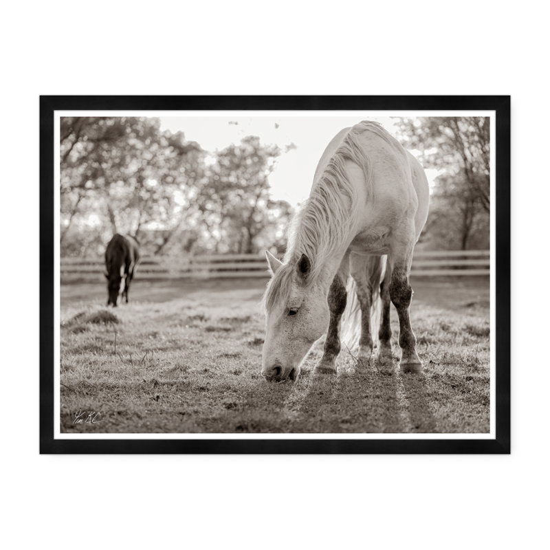 Grazing III par Tim Klein - Photographie avec cadre photo