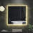 Declyan Flat Wall Mirror