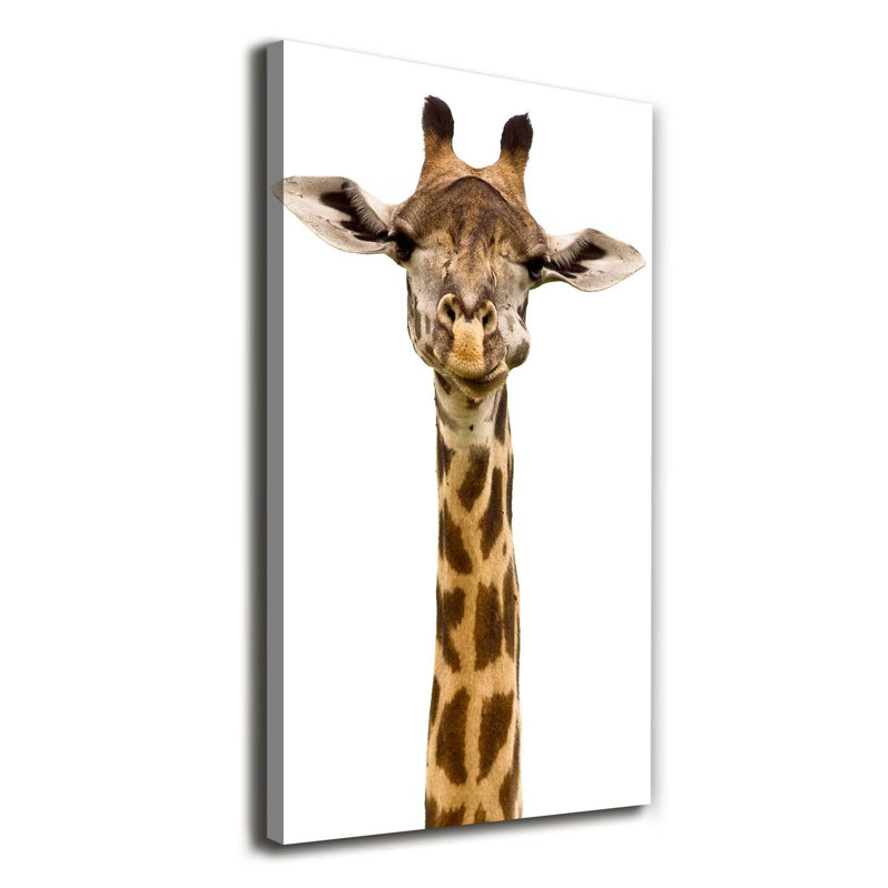 Giraffe - Wrapped Canvas Print