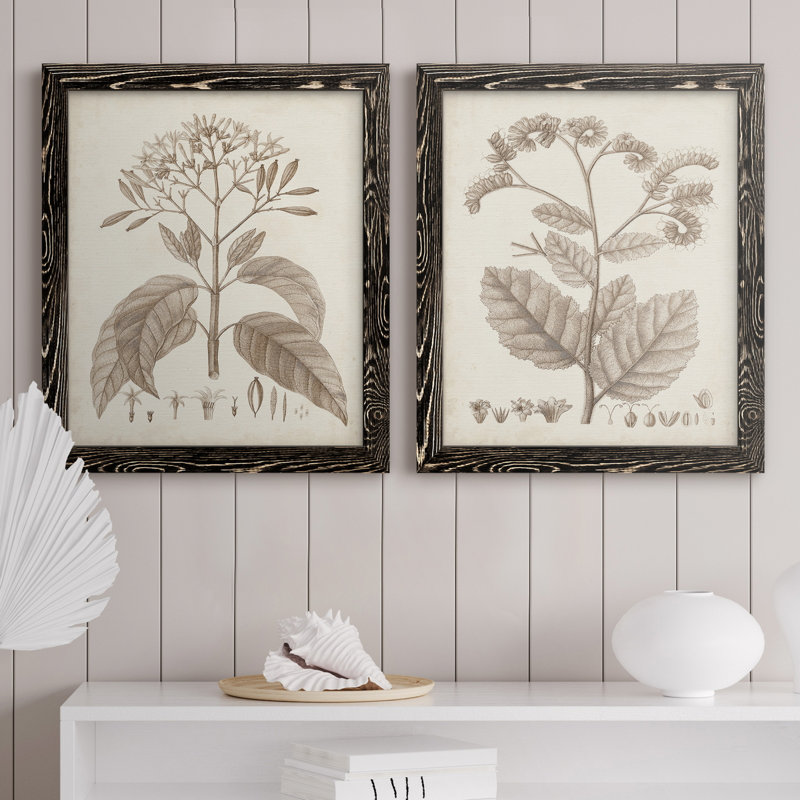 Antique sépia botanicals II, toile encadrée de qualité supérieure - prête à être accrochée, H 24 po x l 36 po x P 1,5 po