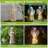 Weather Resistant UV Resistant Plastic Garden Statue