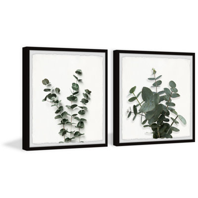 Jalia Eucalyptus Leaves - 2 Piece Single Picture Frame Painting Set