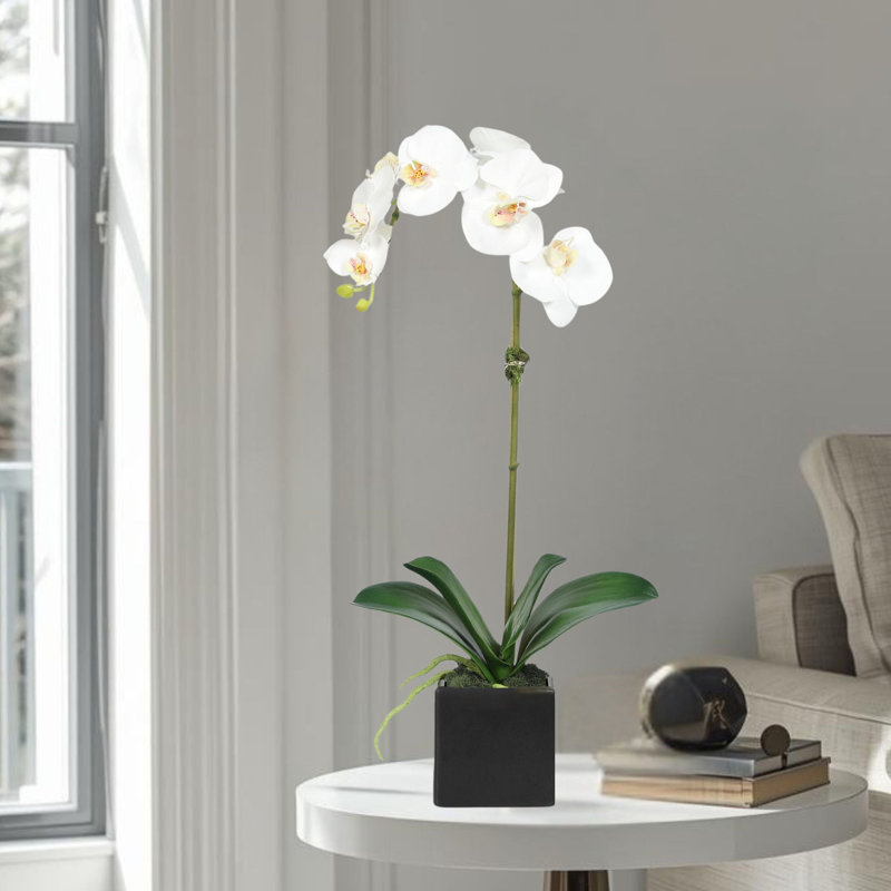 Arrangement d'orchidées en polysilk, Blanc, Noir