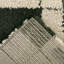 Tapis vert / beige Hargraves-463527577