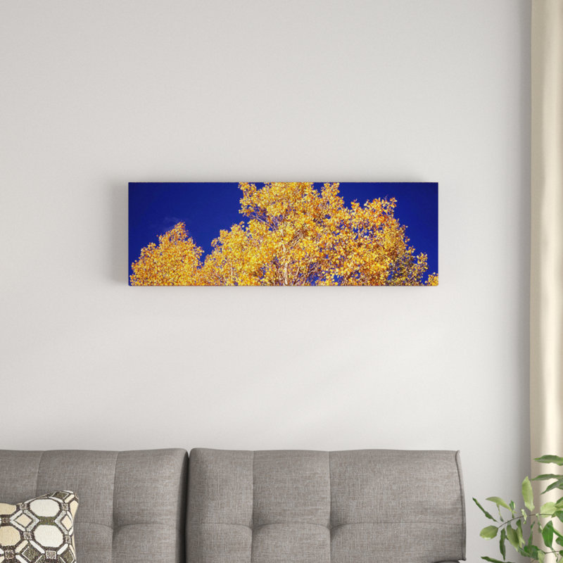 «Colorado», reproduction de photo sur toile, H 12 po x l 36 po x P 1,5 po, Toile encadrée noire