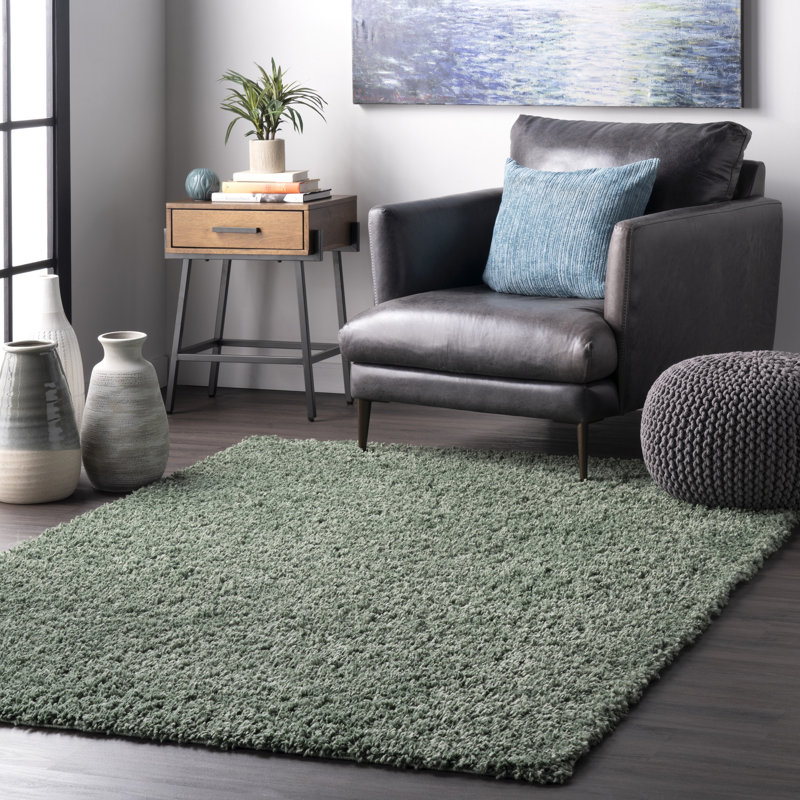 Abbiney Performance Shag Green Rug, Rectangle 4' x 6'